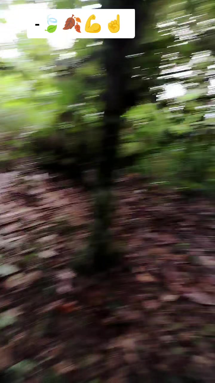 @PONYROJAS