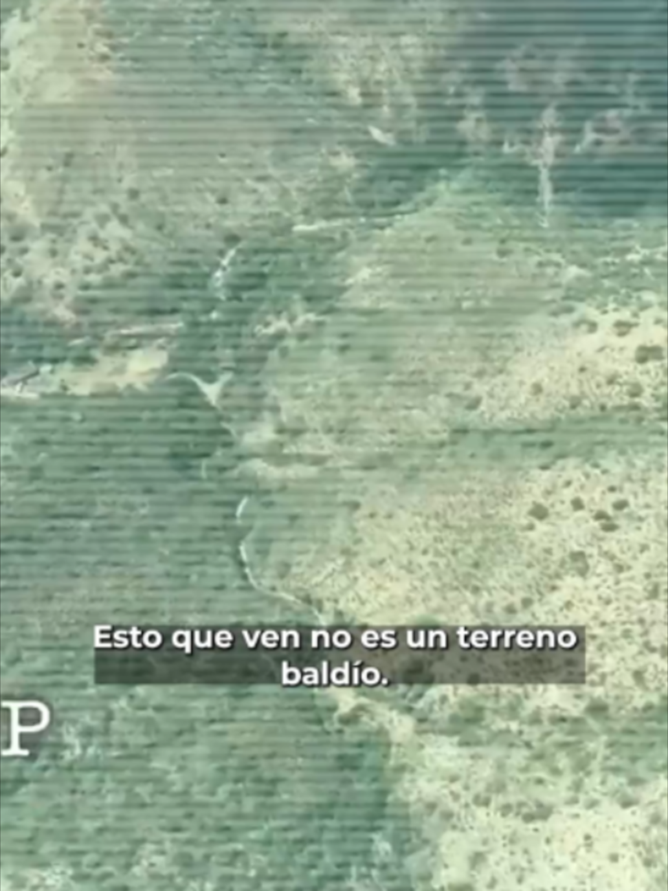 @Latinus