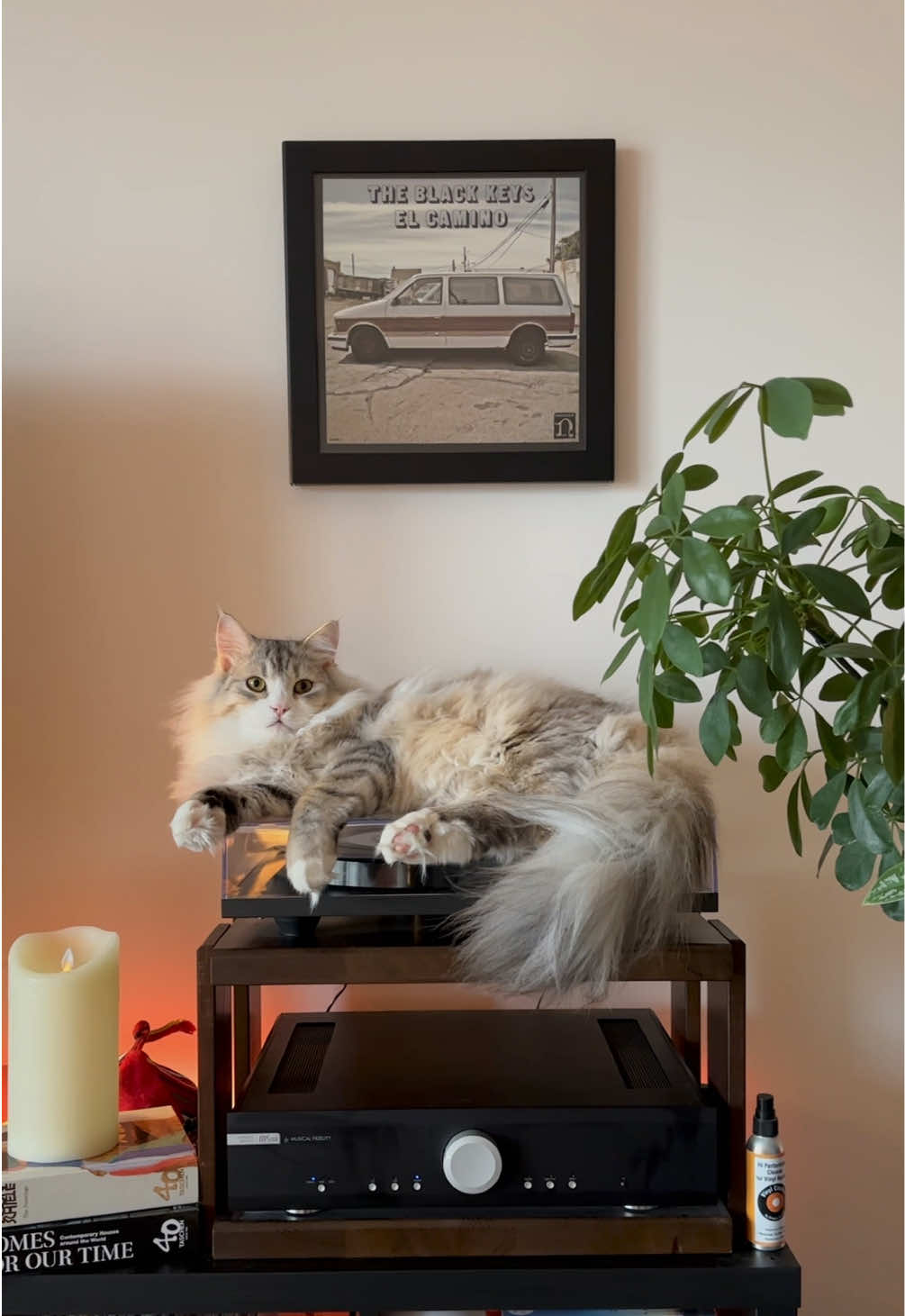 @Leon The Vinyl Cat