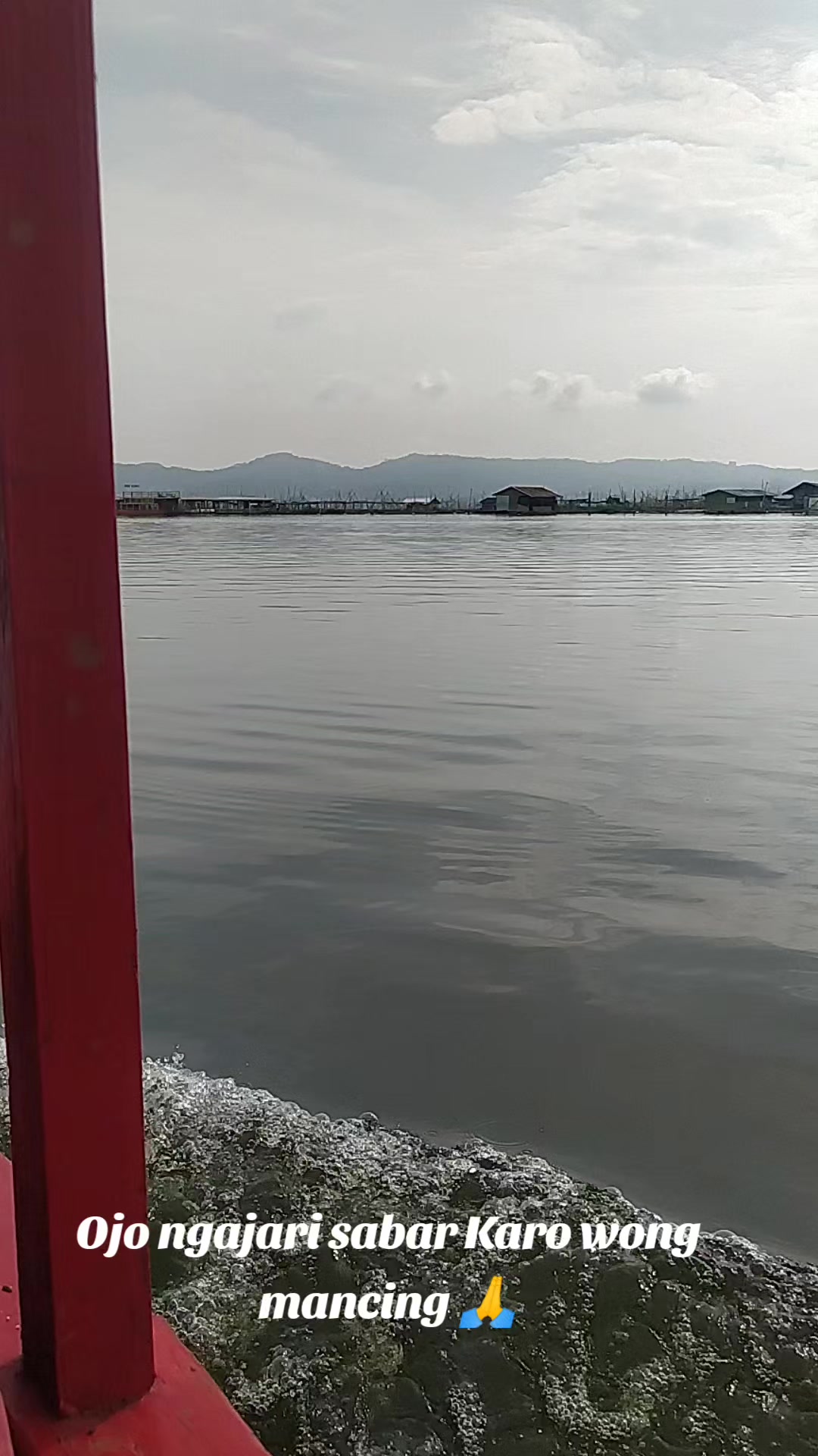 @Blessing_fish