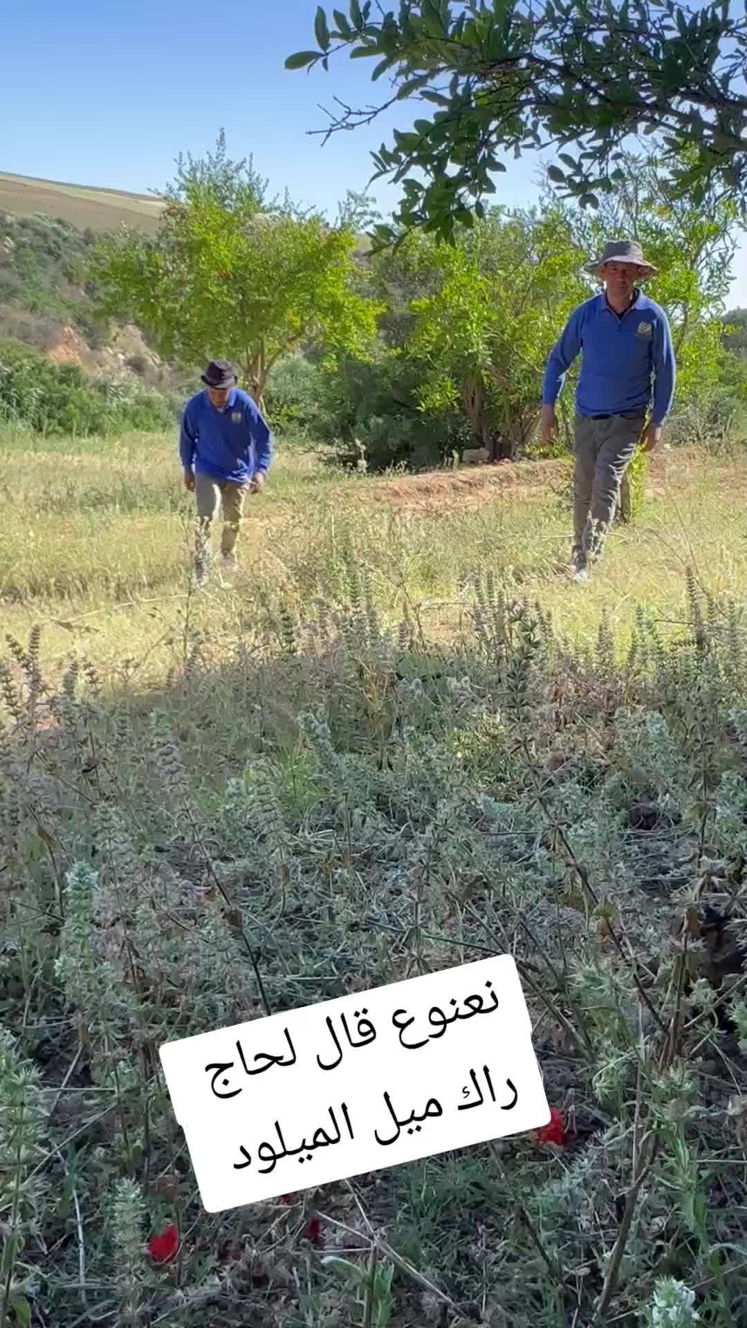 @الحاج نعنوع