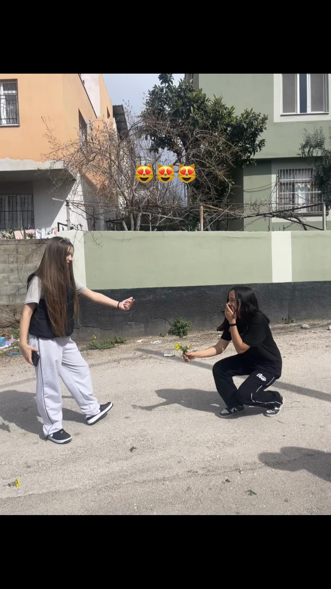 @Maya