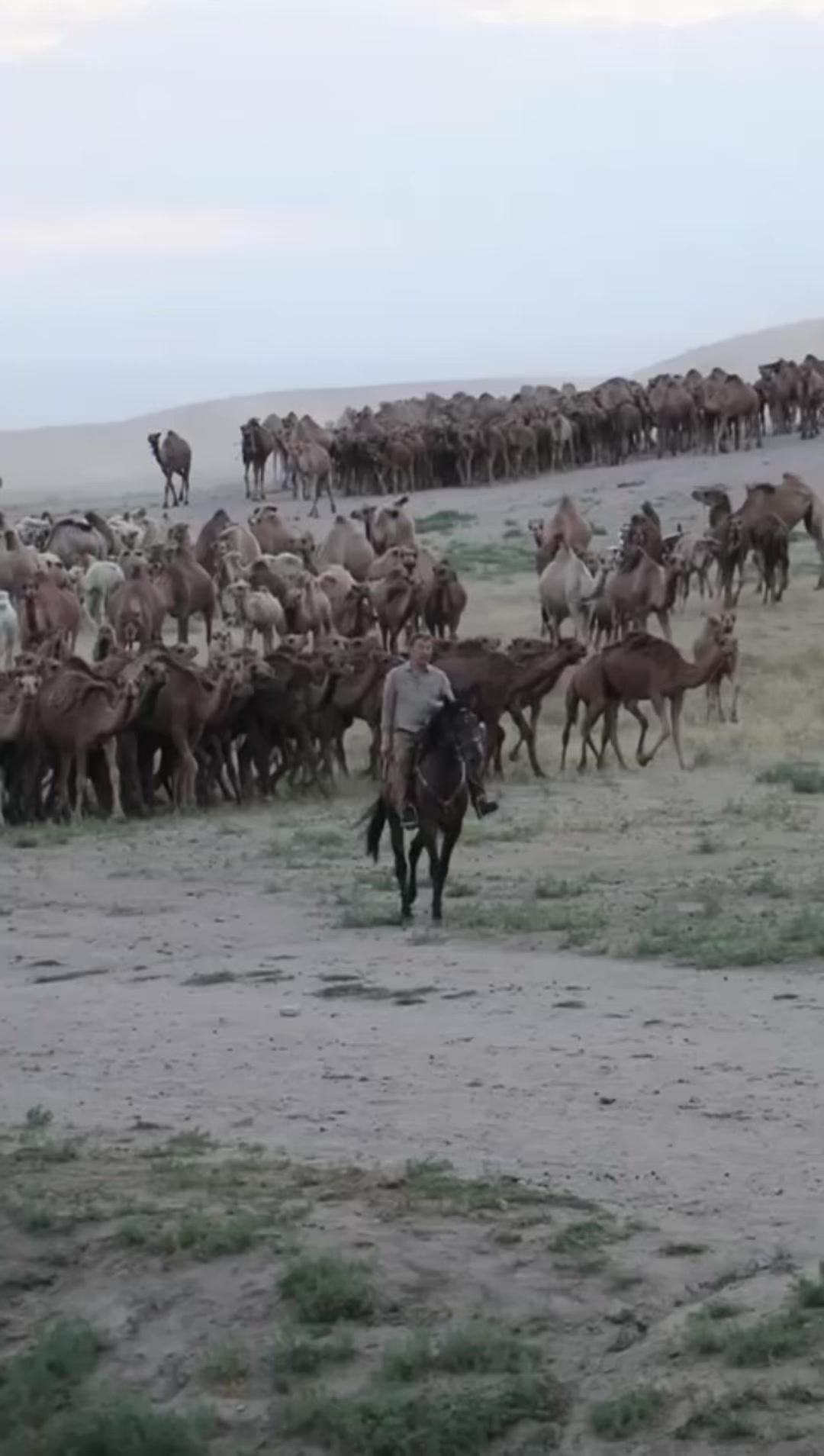 @Сыдық Даулетов