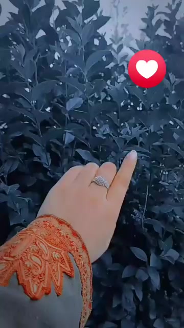 @Mahira Rajapoot🧸