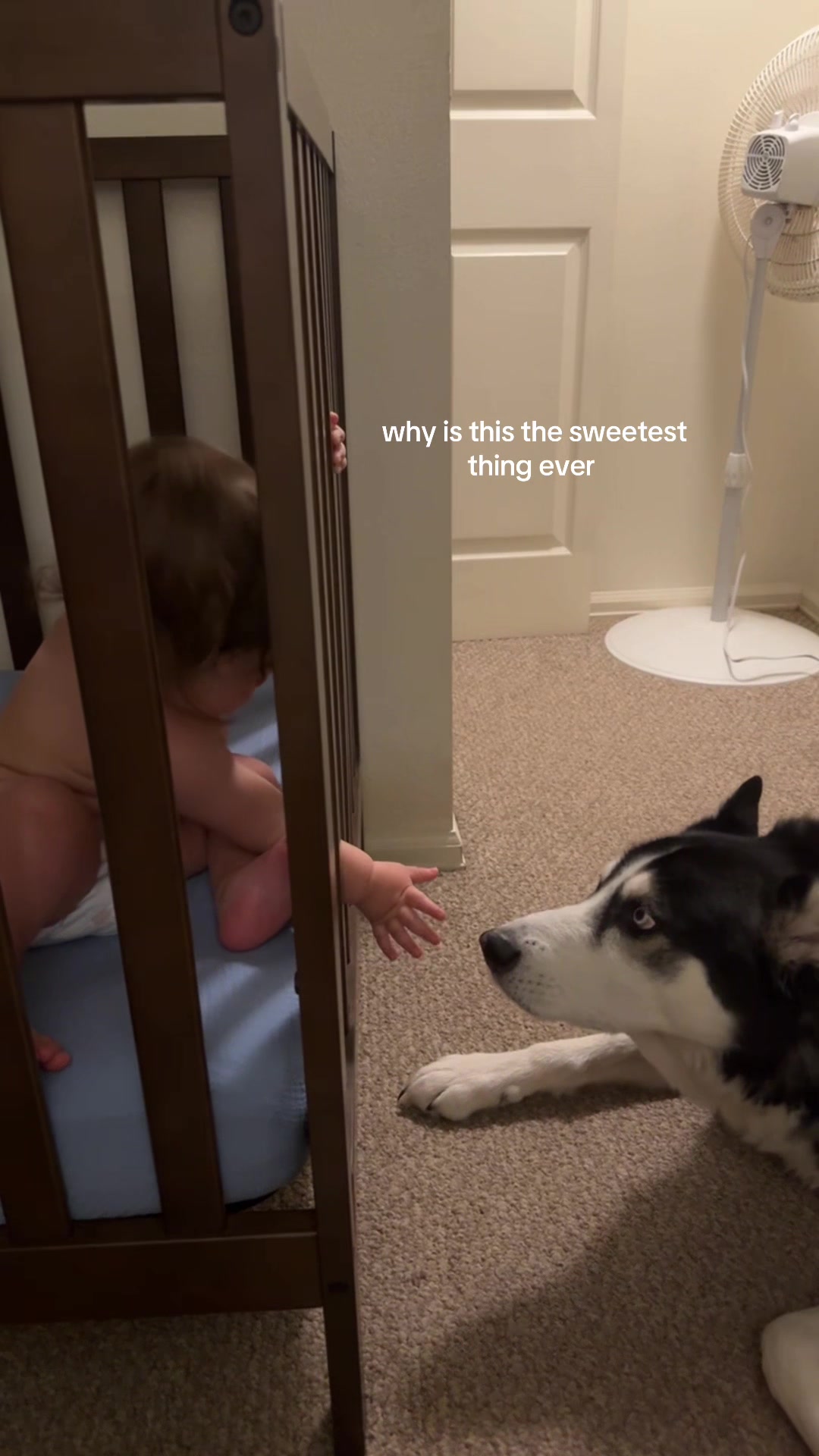 @Emily