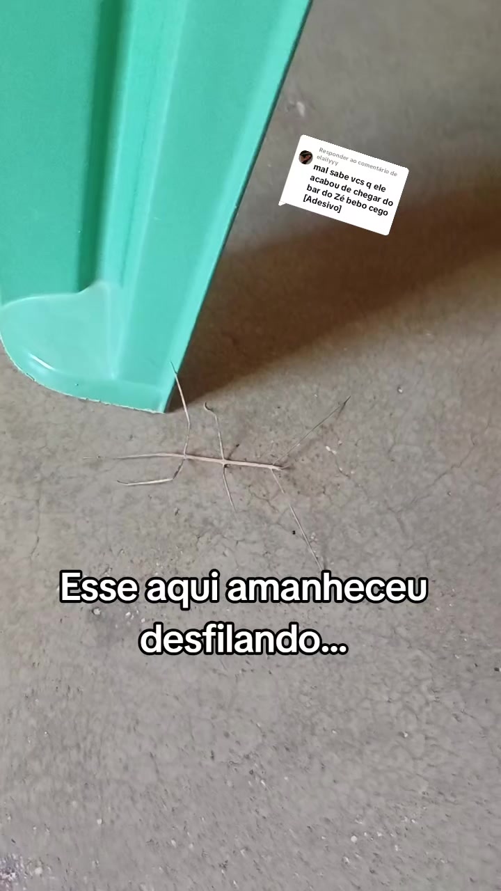 @Amante da natureza