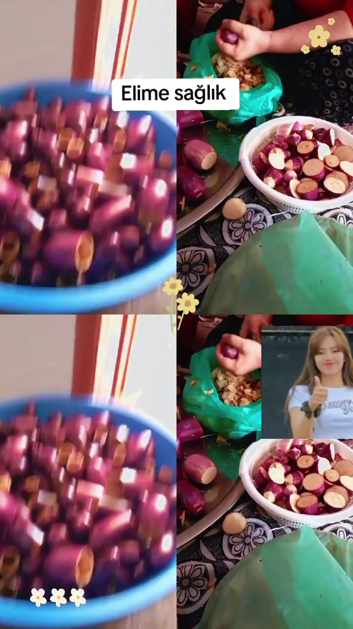 @โโ๐๐ผ๐๐ผ๐๐โ๏ธ