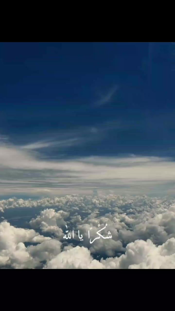 @পাখি পাখি
