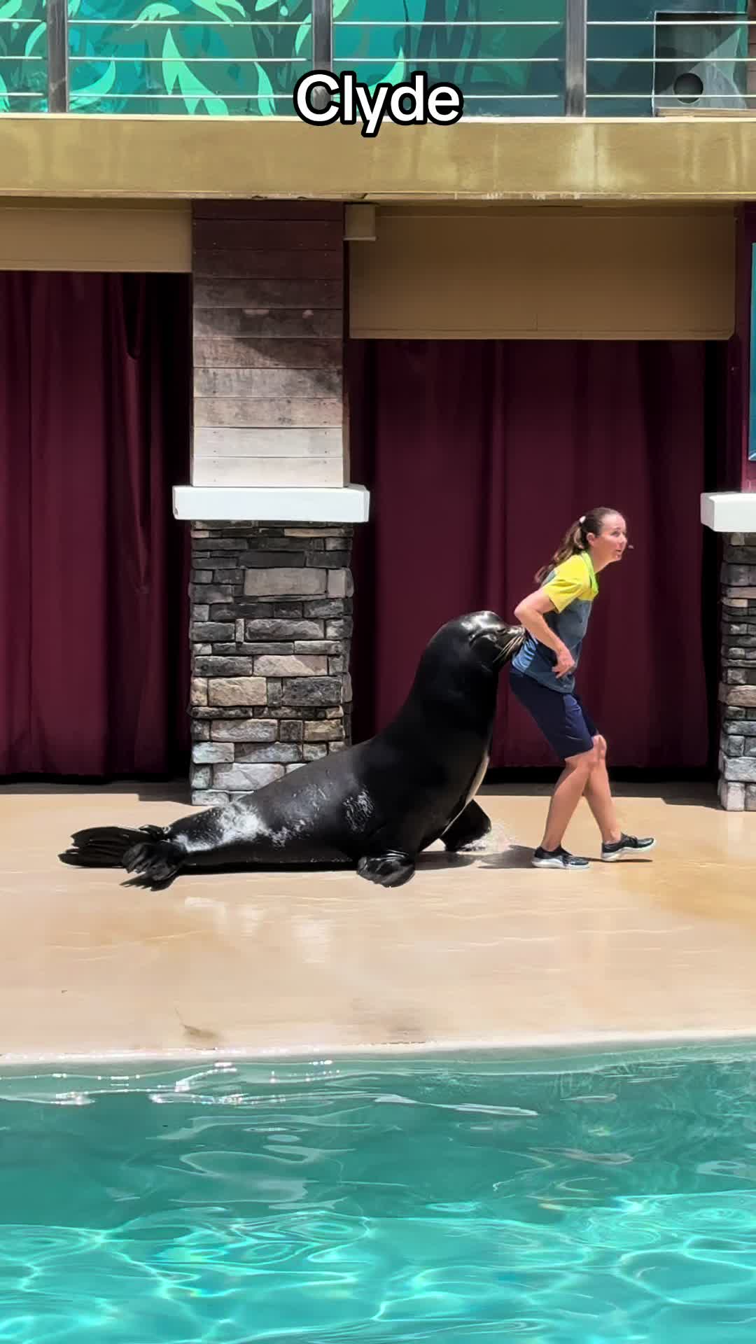 @OlivierSeaworld
