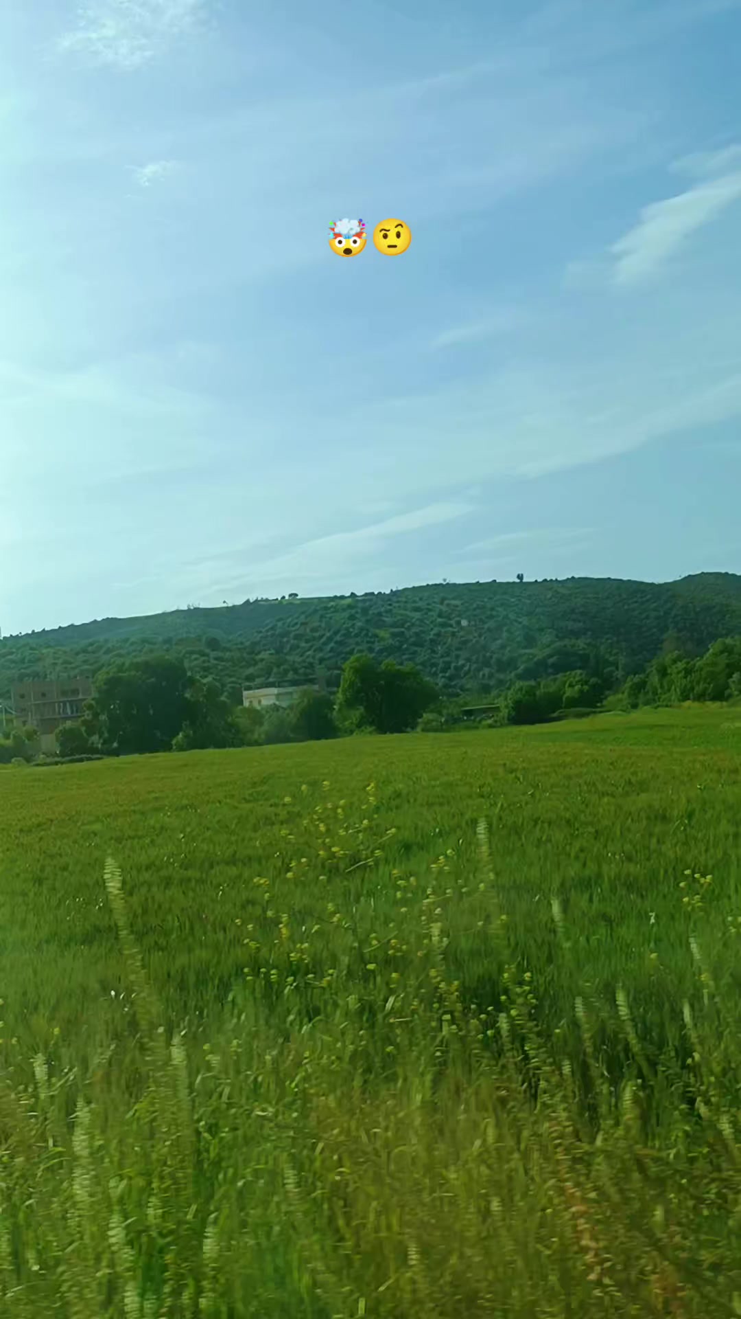 @Hamada Ouarti