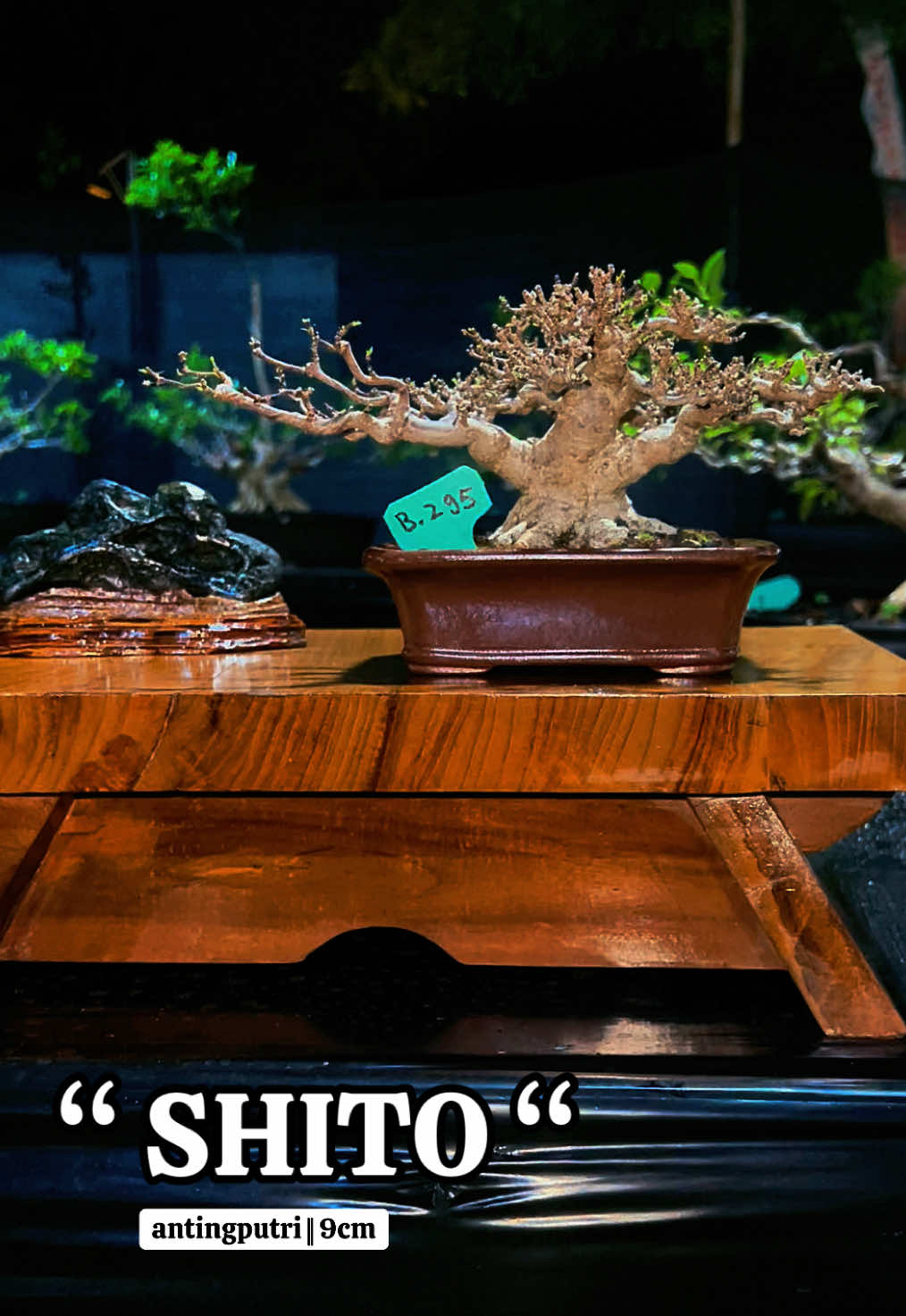 @warbonsai_purwodadi