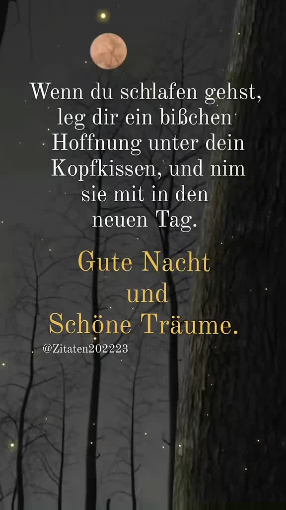 @Zitaten202223