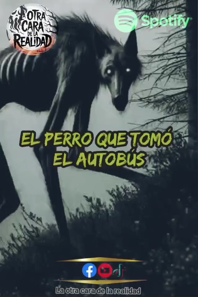 @La otra cara de la realidad
