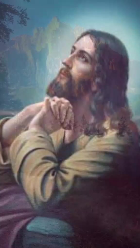 @seguidor de jesus