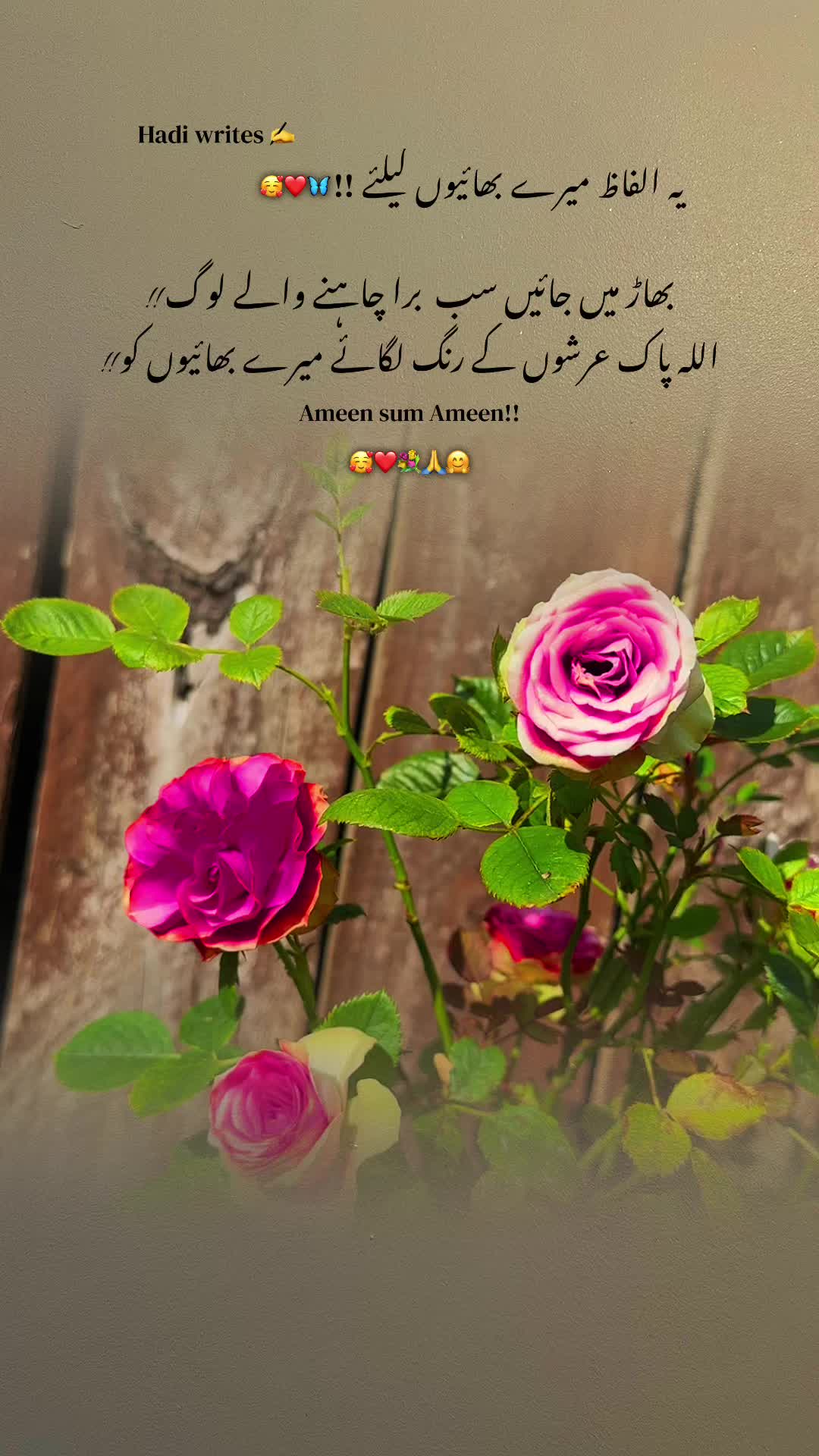 @Bhai Behen Quotes ✍️🥰🙏