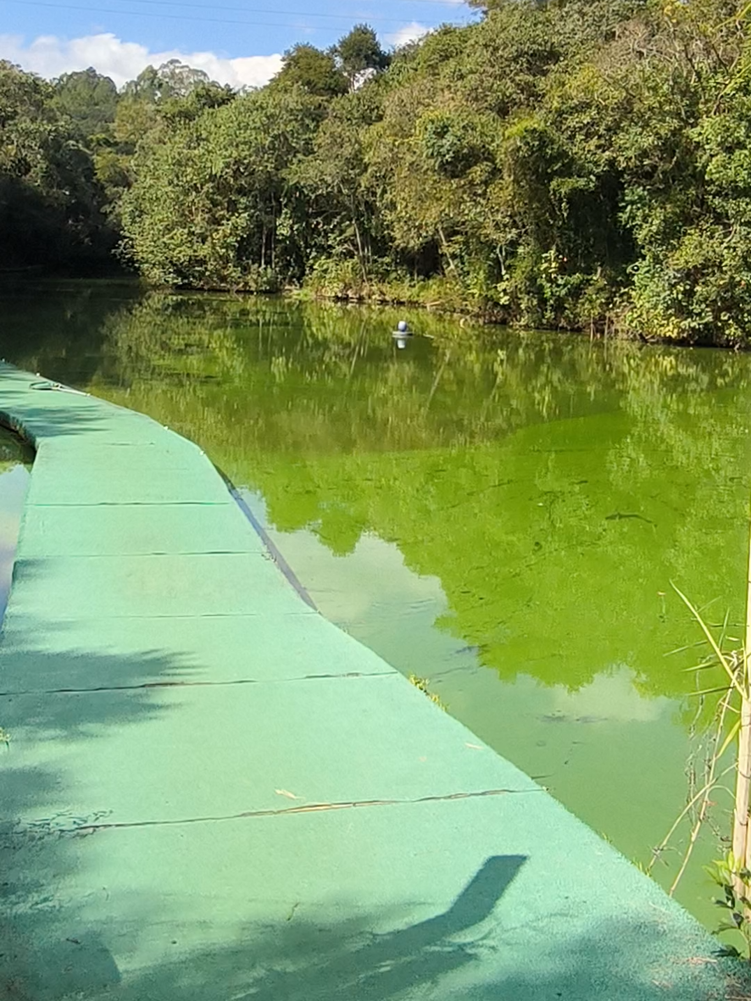 @Patrão da Pesca