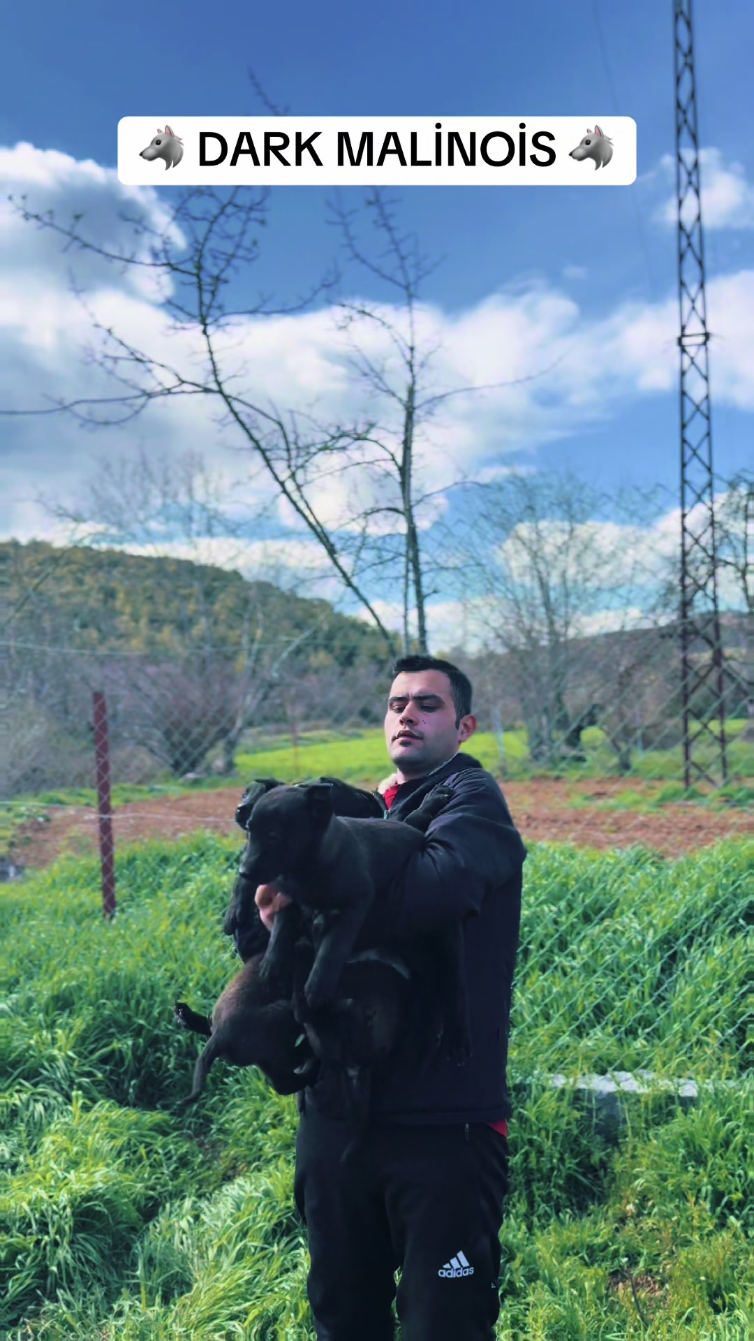 @🐺HOUSE OF EFEBEY UŞAK🐺