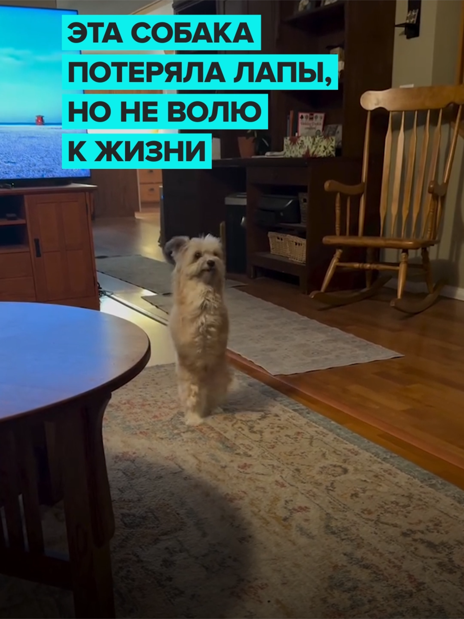 @Москва 24