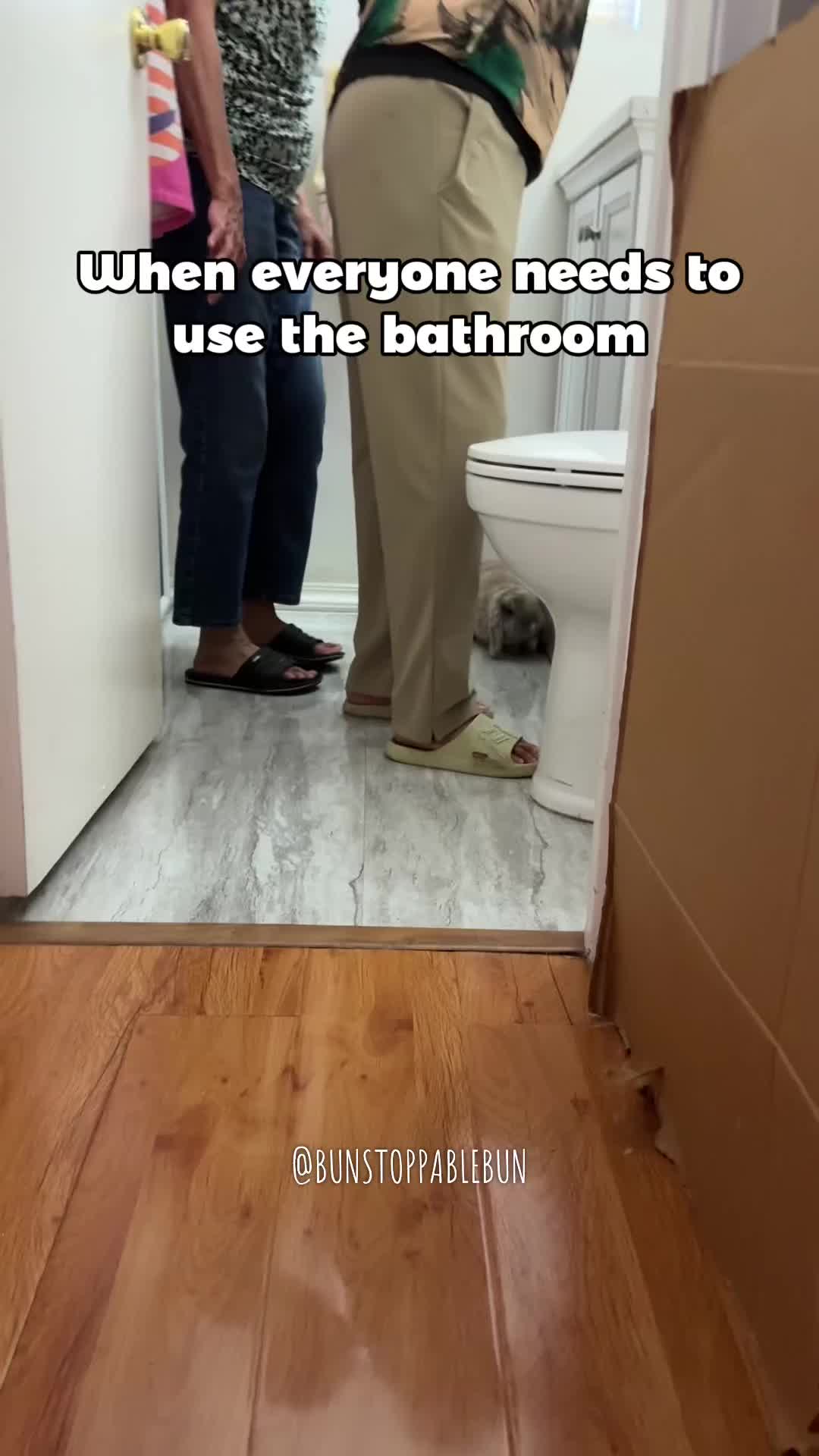 @BunBun, Mochi🌈, Chewy