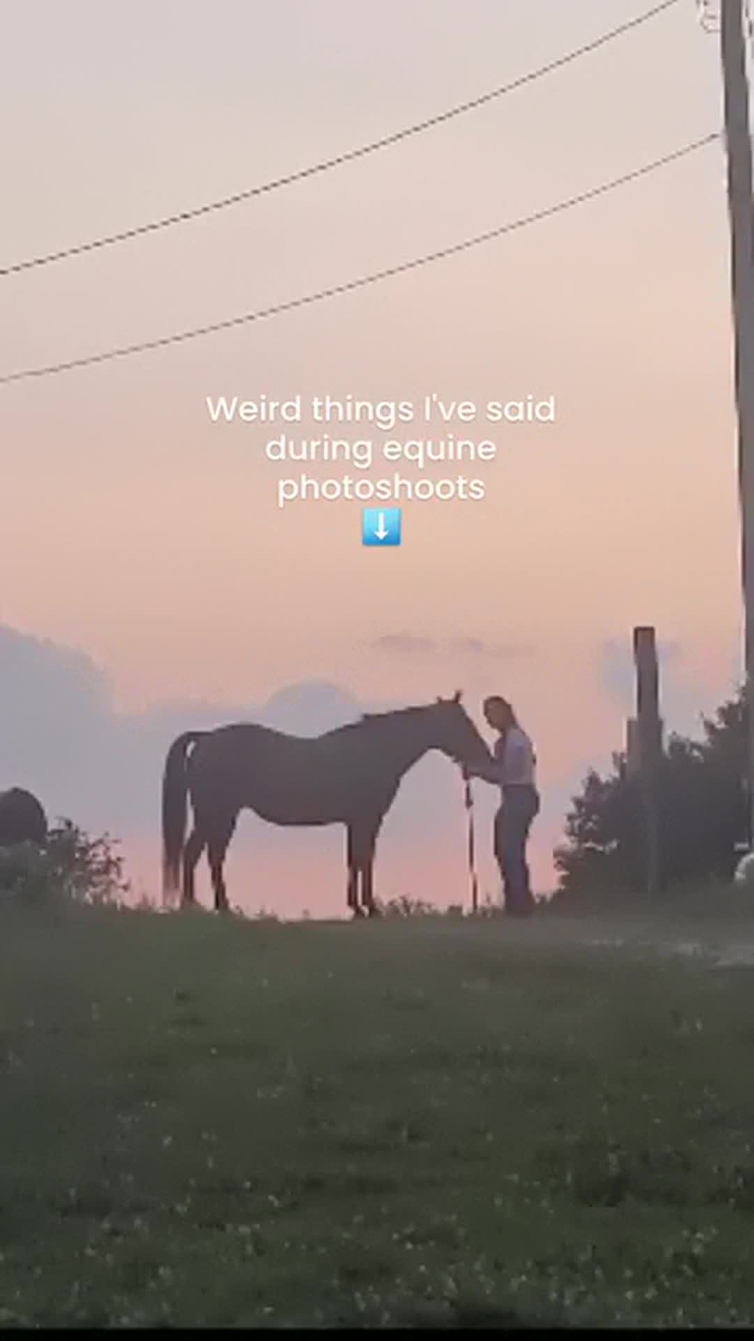 @Beth - Epona Media