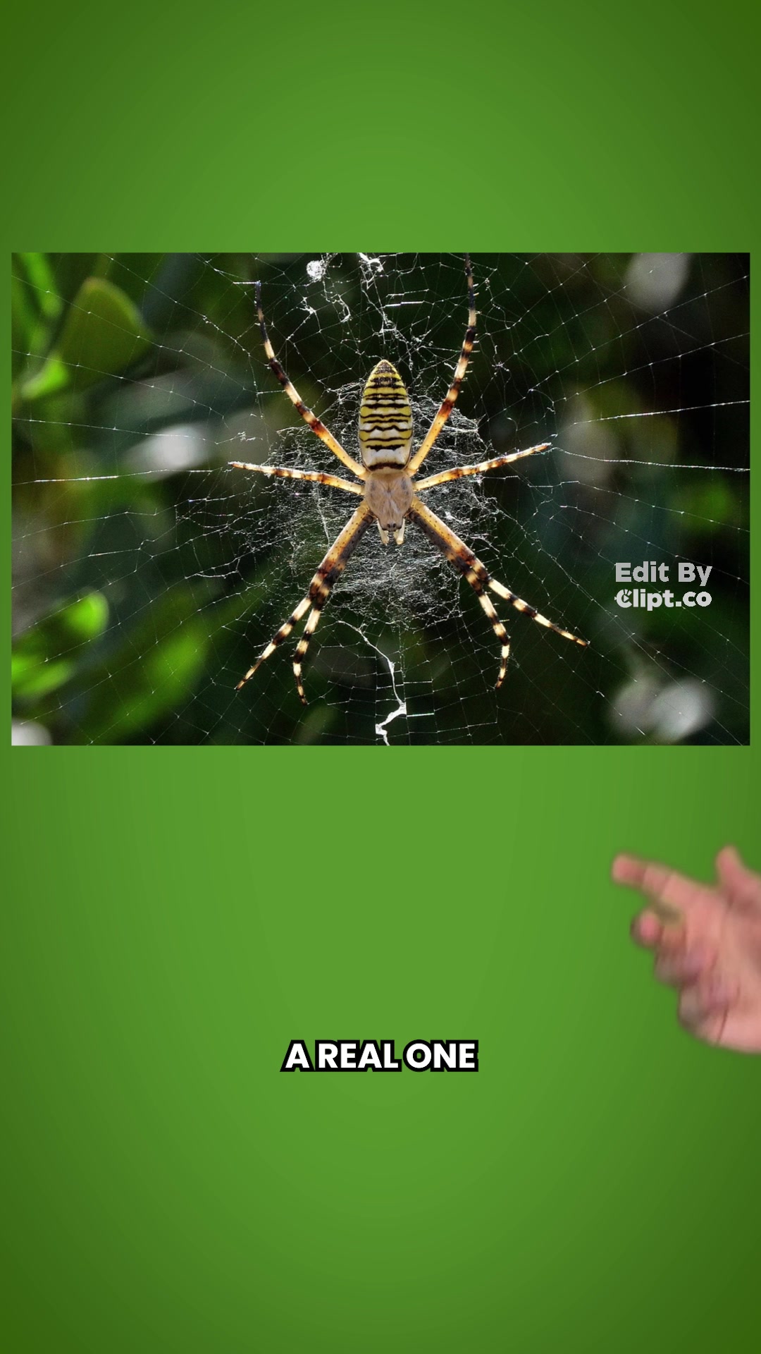 @smartnonsense