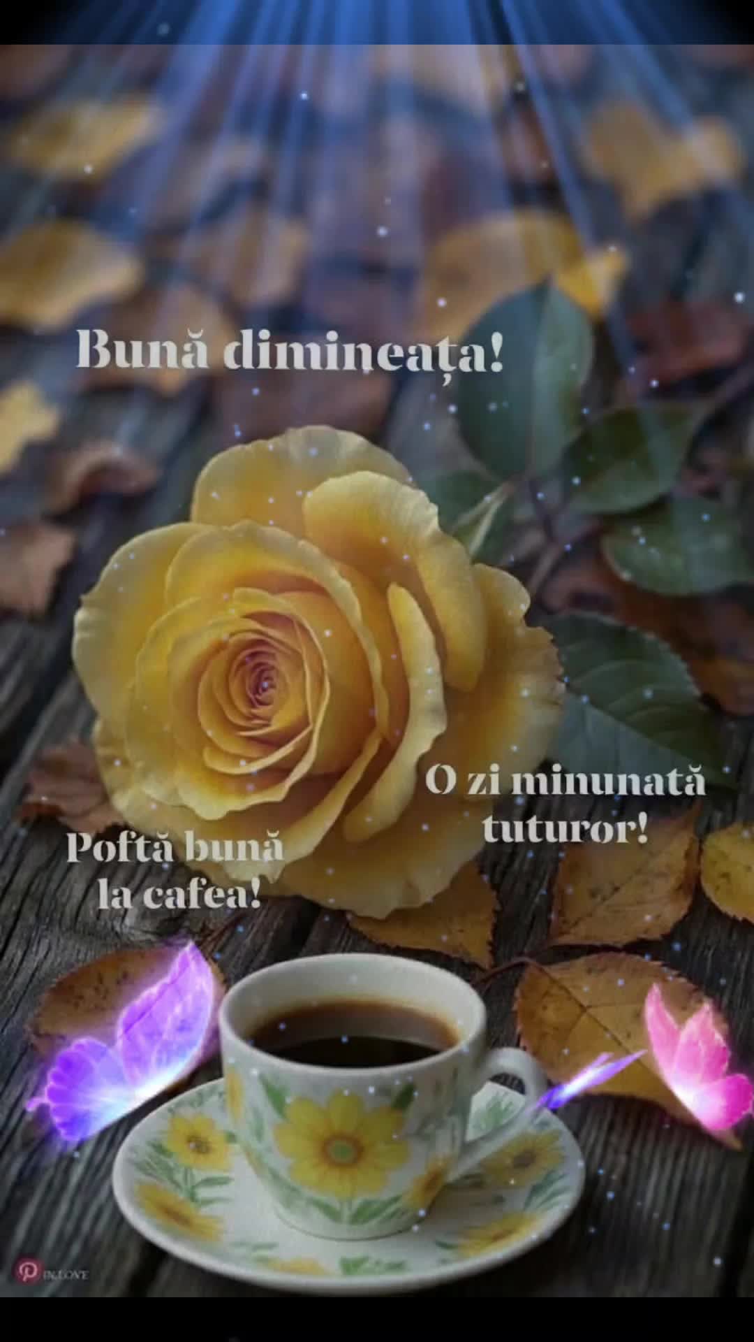 @Nicolae Iamandi Marin