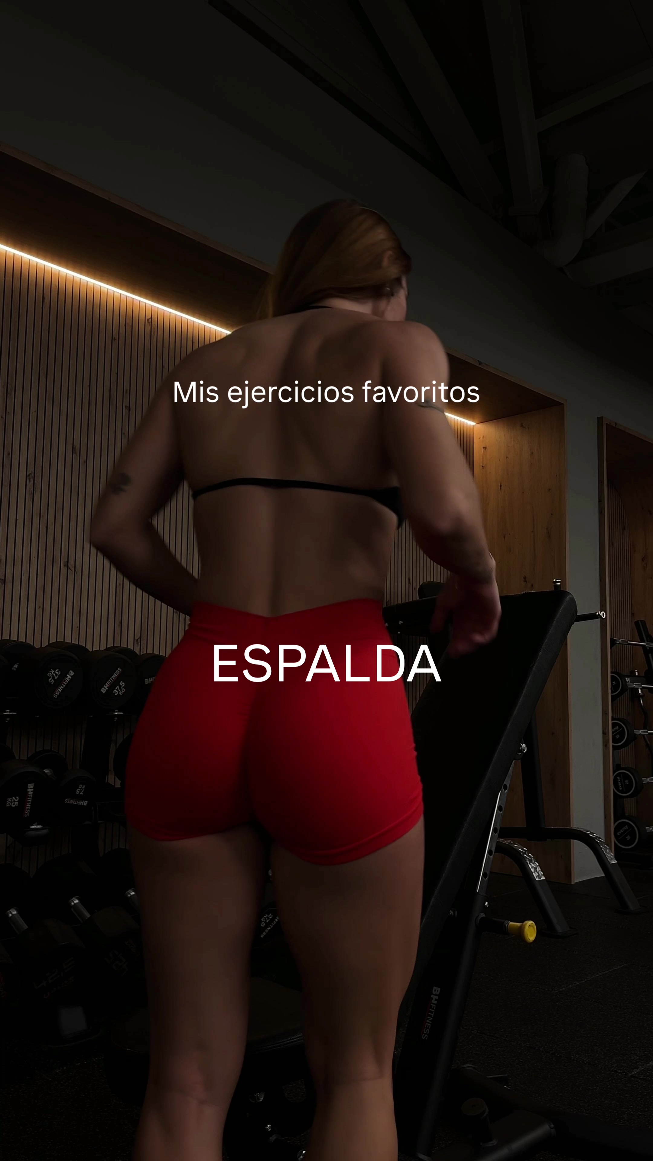 @naiararioss