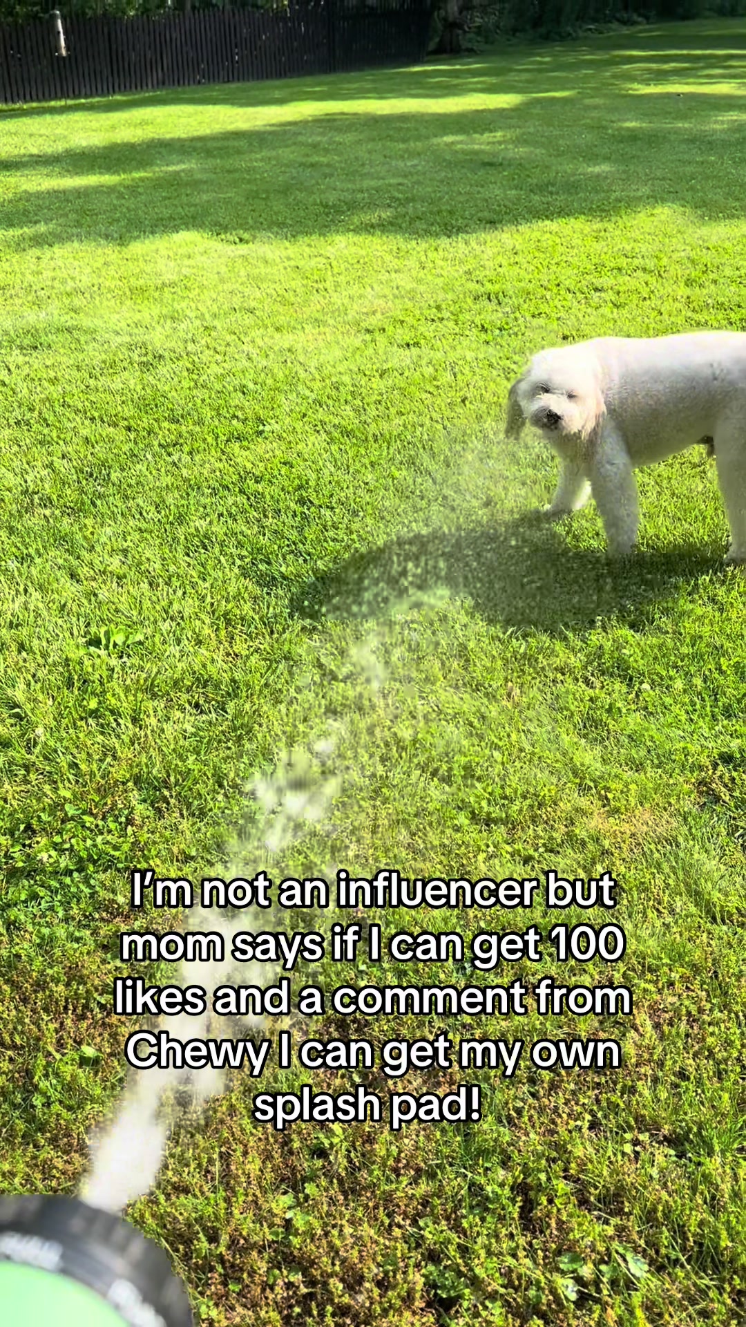 @Enzo the Dood