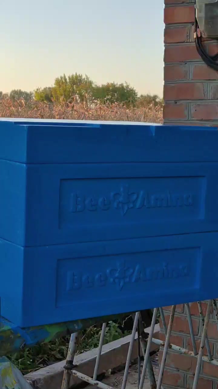 @BEEAMINA
