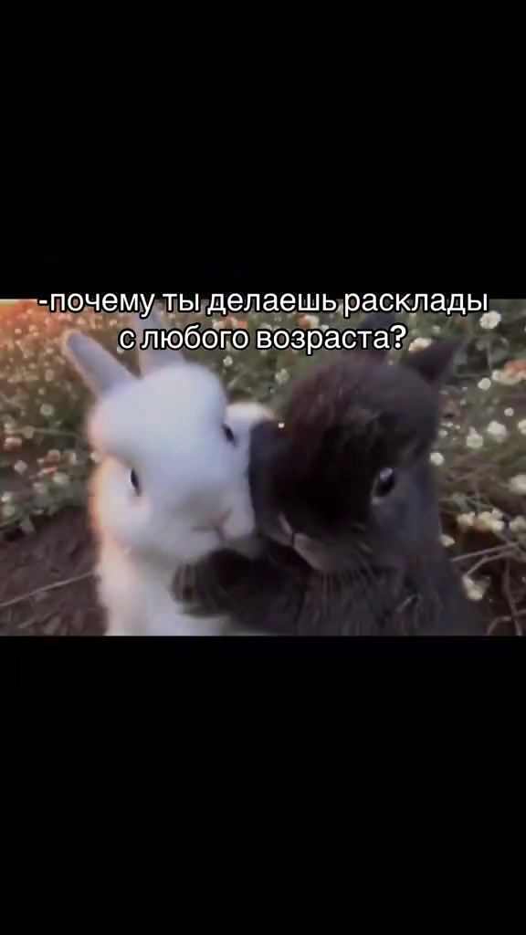 @тг: diamantzzz