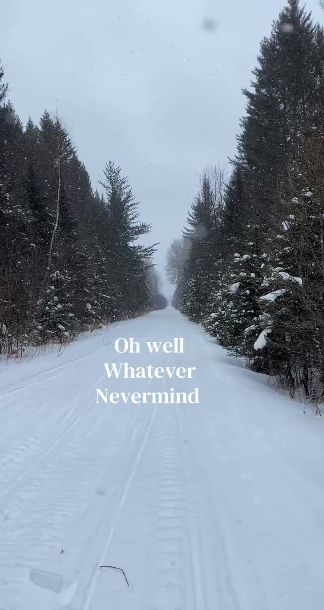 @Stephanie Novotny