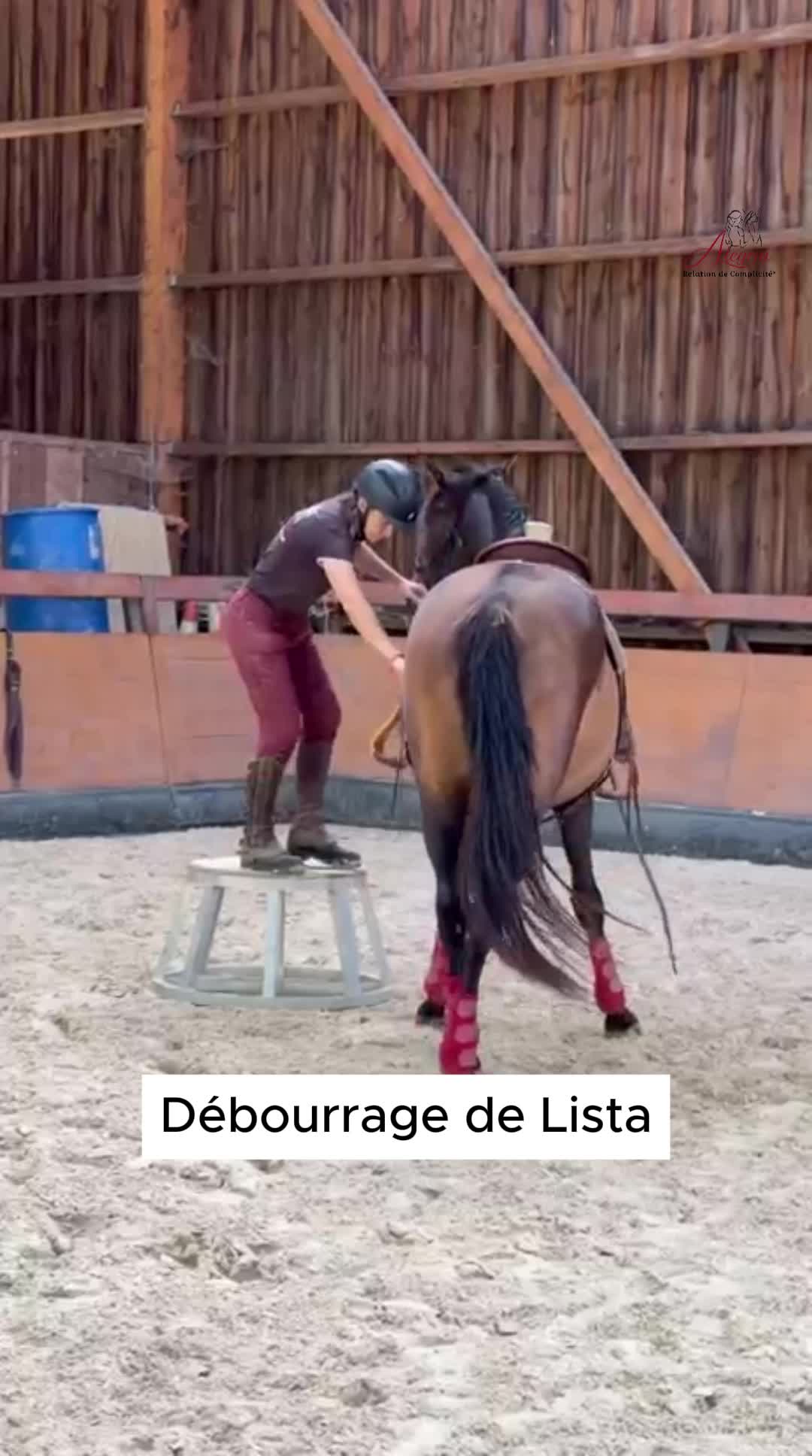 @Alegria Relation de Complicit&eacute;