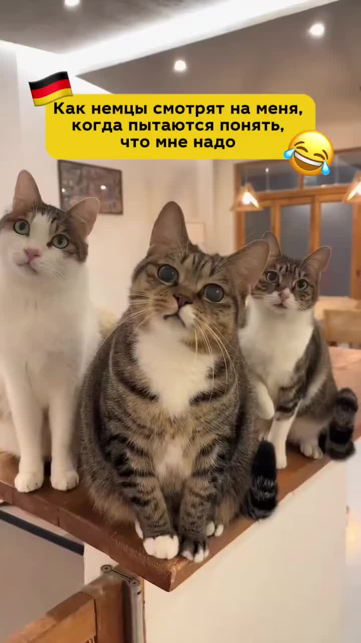 @Немецкий язык