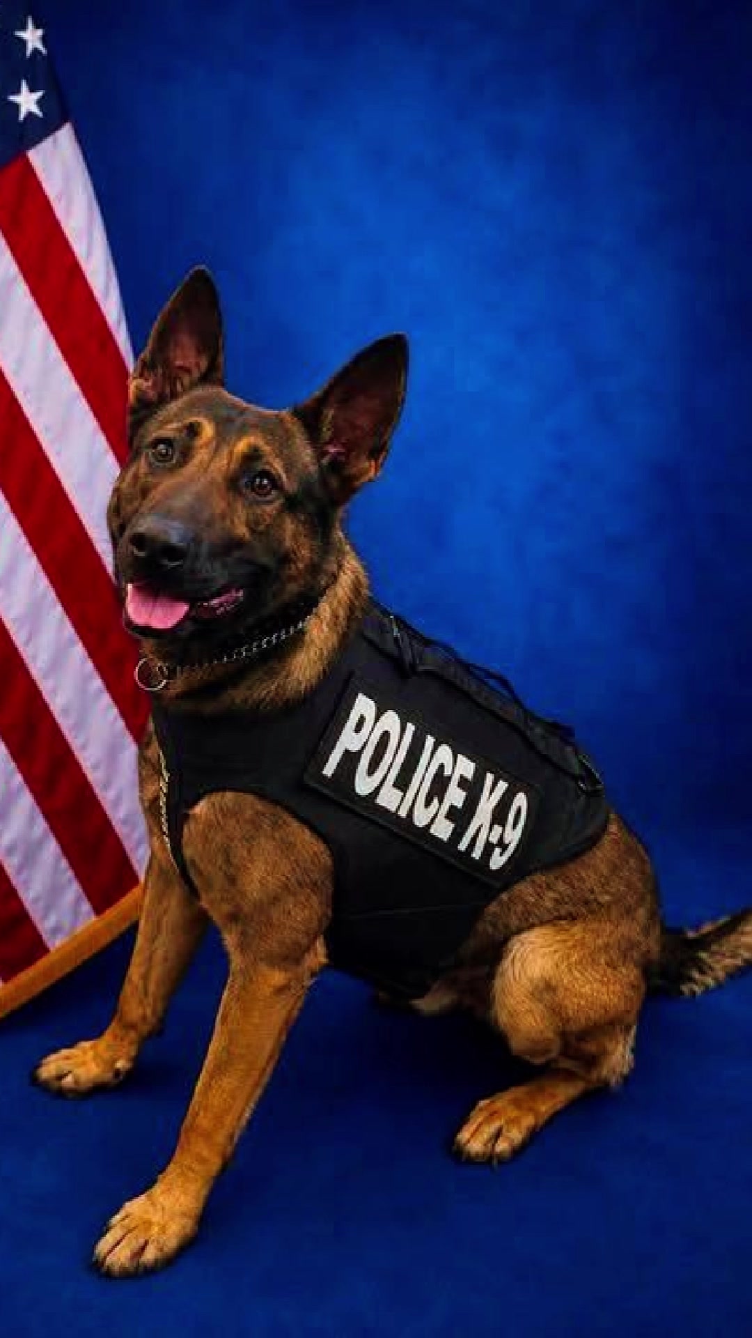 @Vested Interest in K9s, Inc.