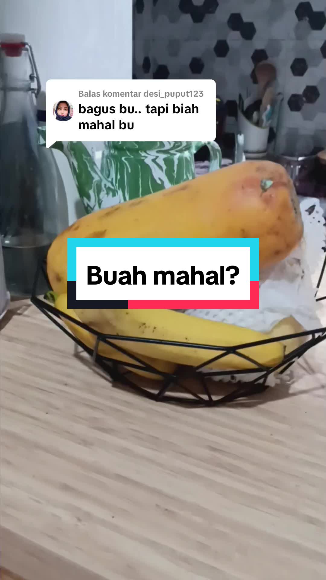 @cipukoya