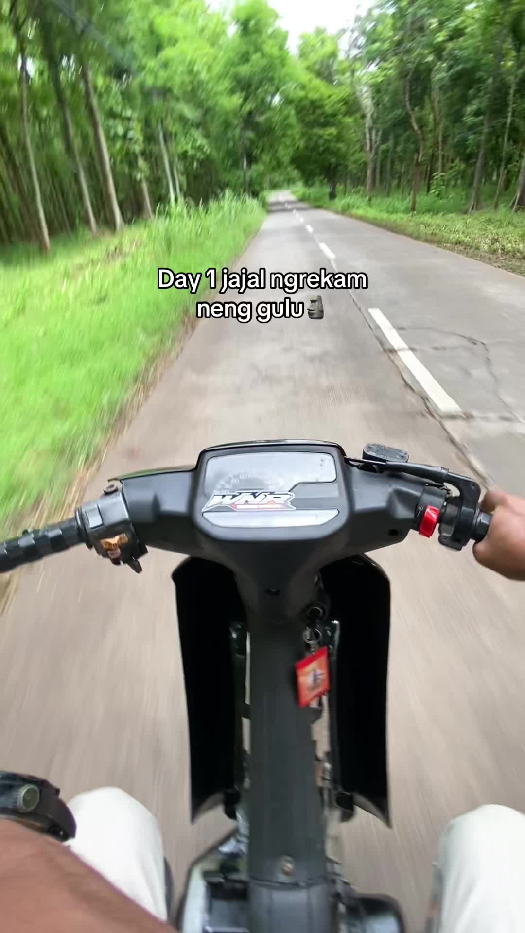@NOGOSARI 🦆