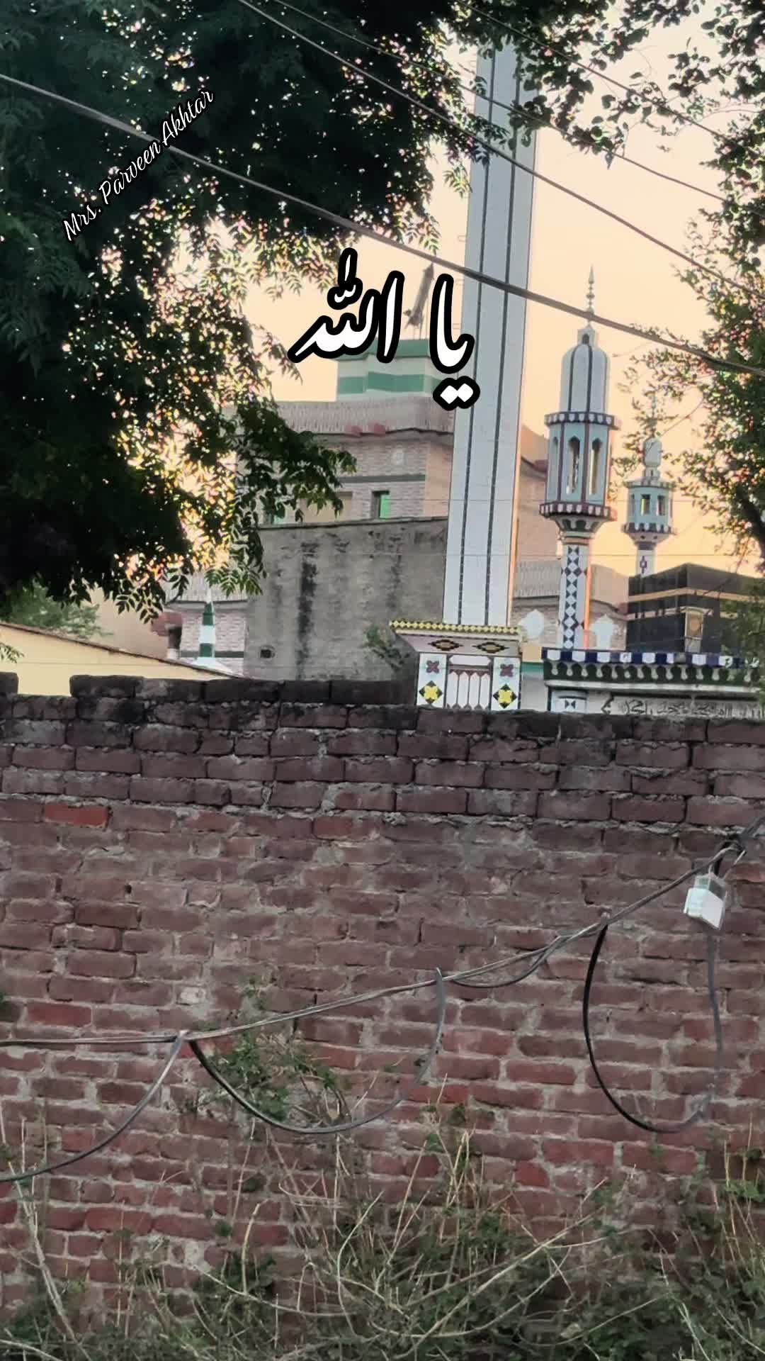 @Parveen Akhtar