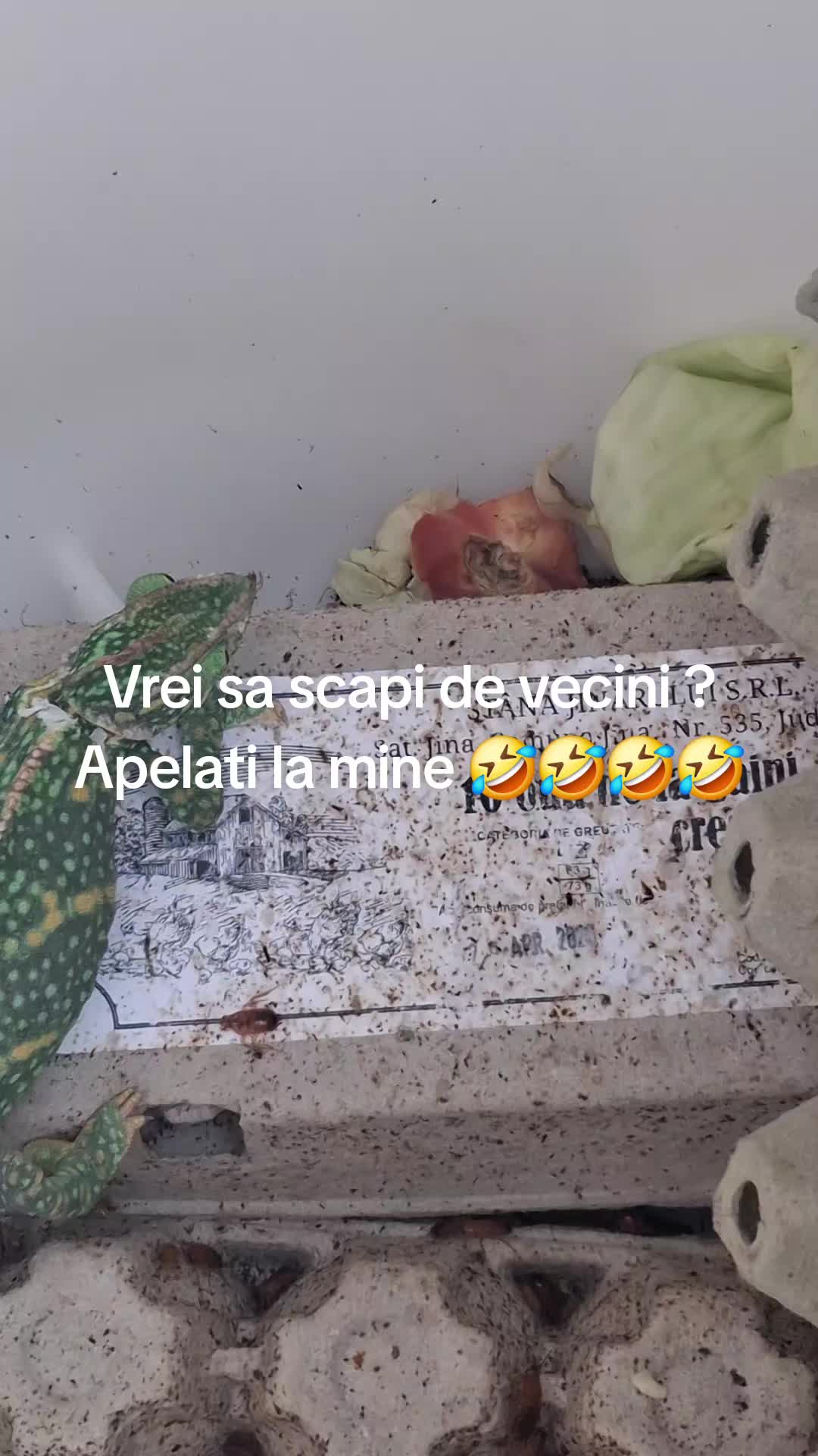 @Valentyn Valy