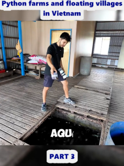 @Araya Vlogs