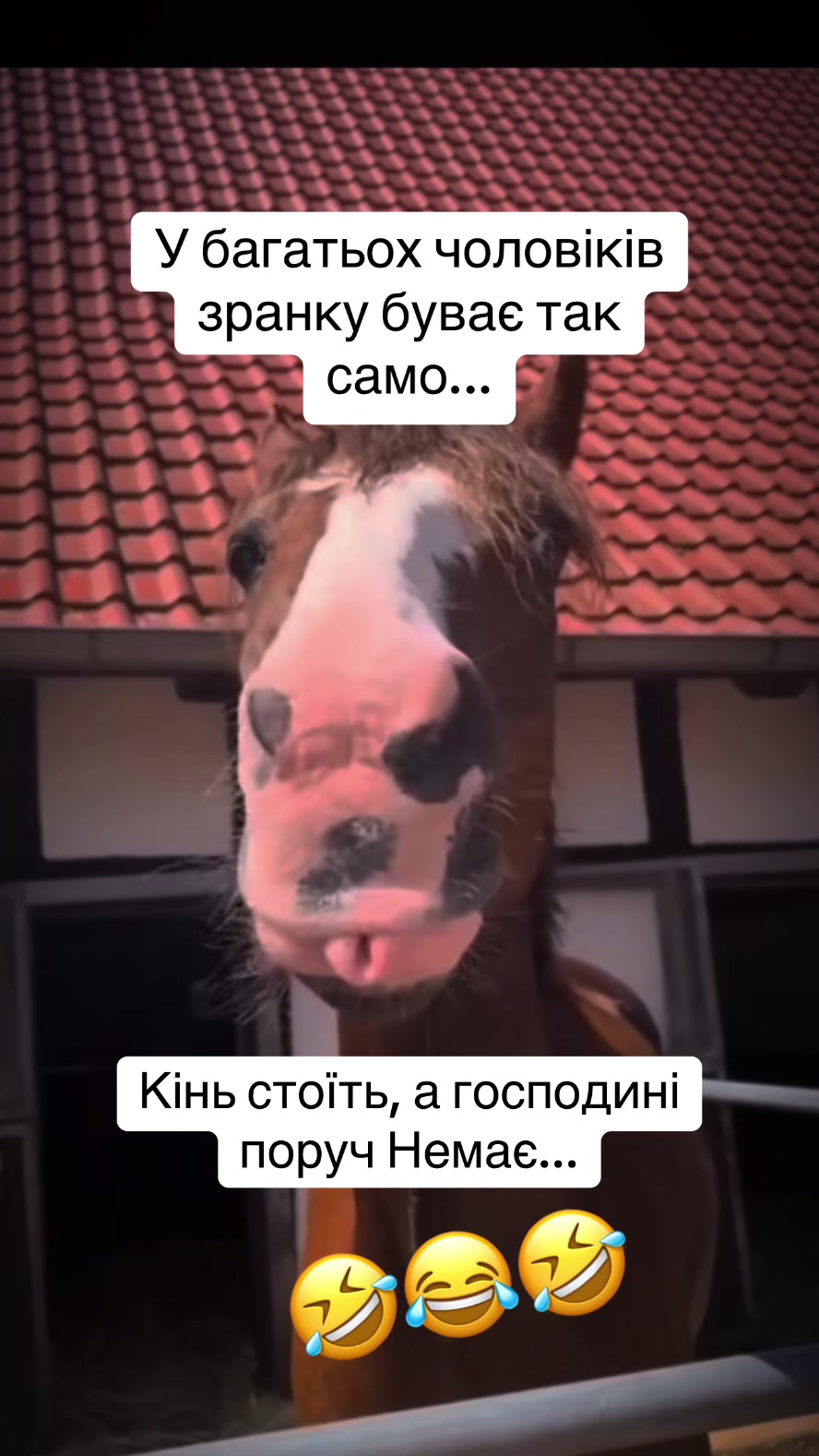 @♥️ШАЛЕНА♥️