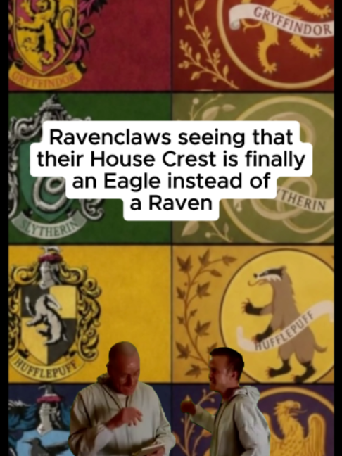 @Muggelgeflüster