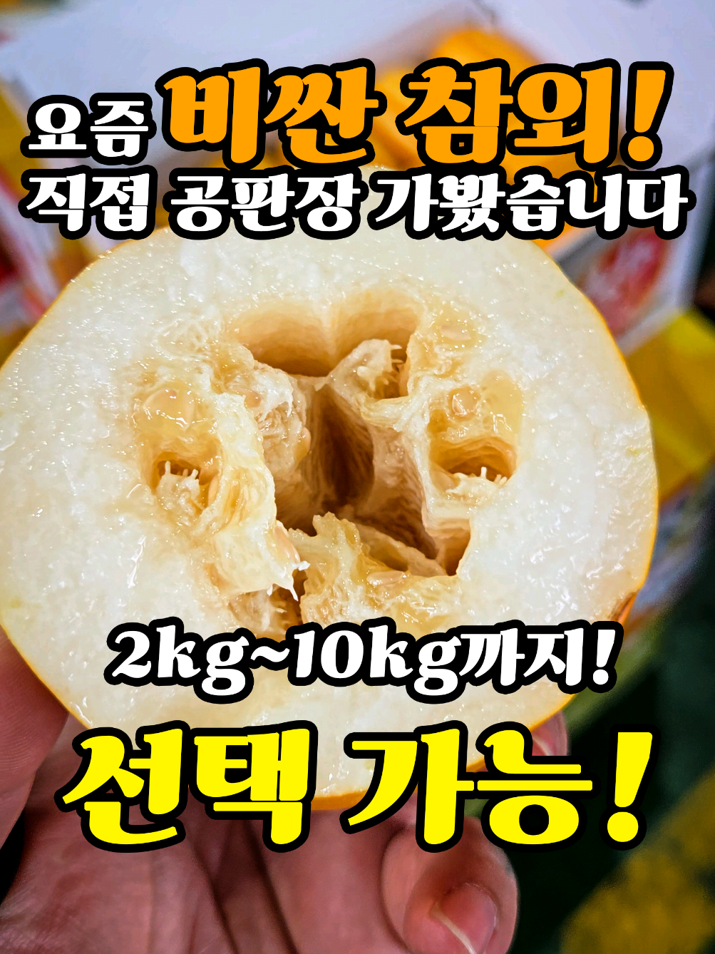 @어부와농부