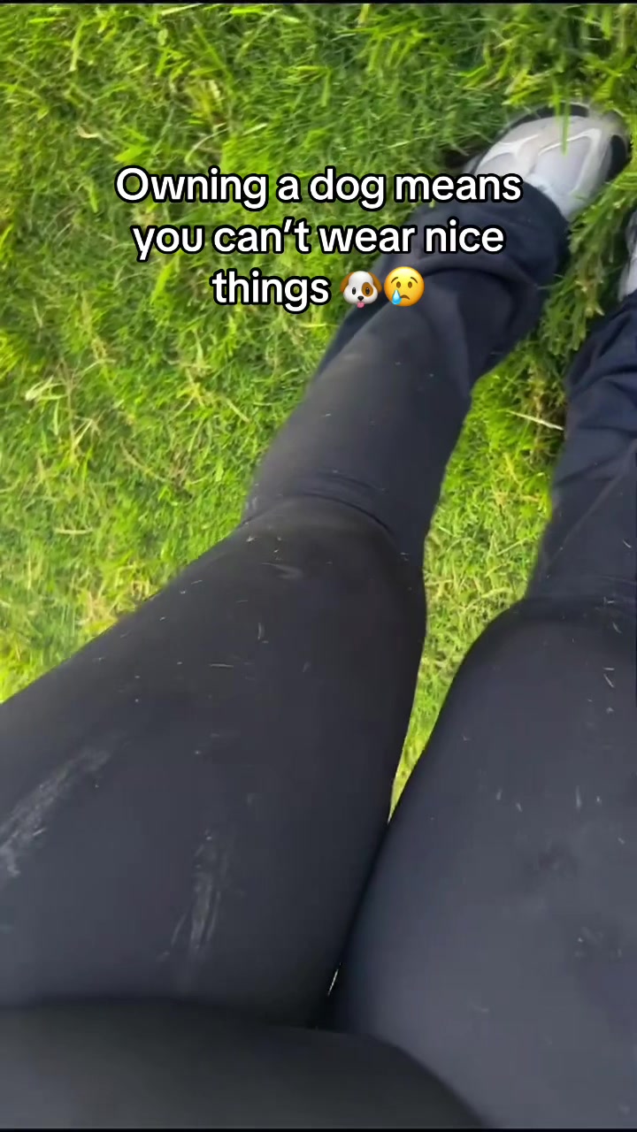 @Anayaaa👾