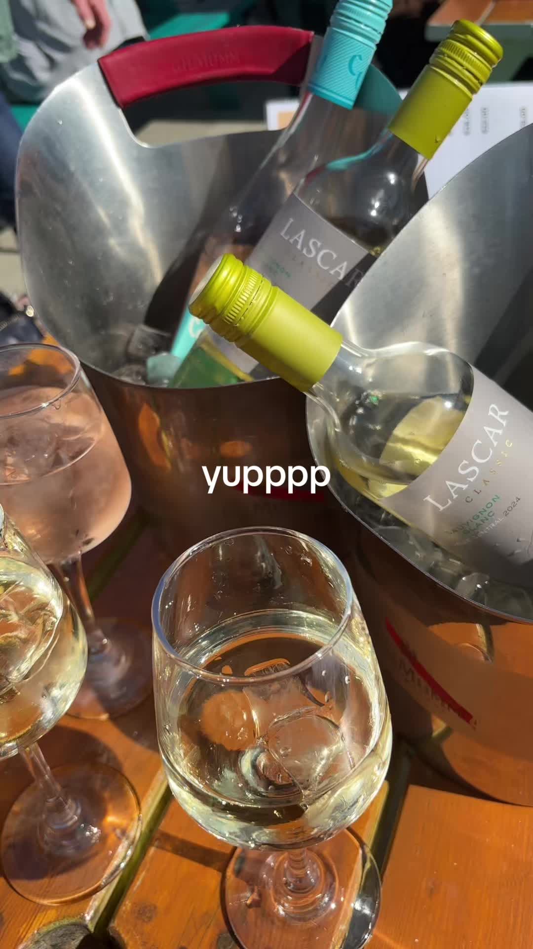 @lauracxll