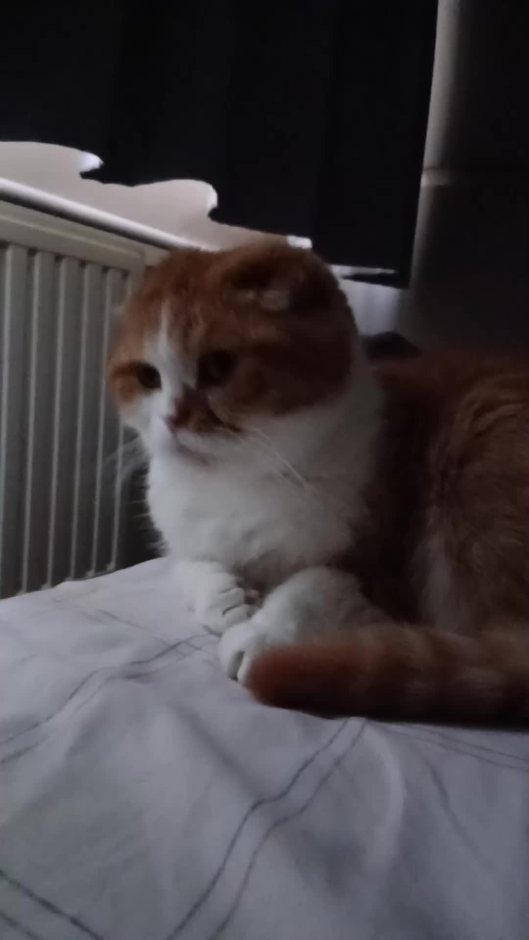 @Anneke & Simba