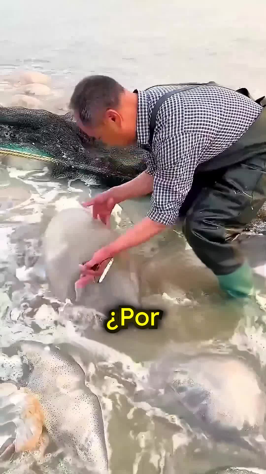 @CuriosoBen 😾