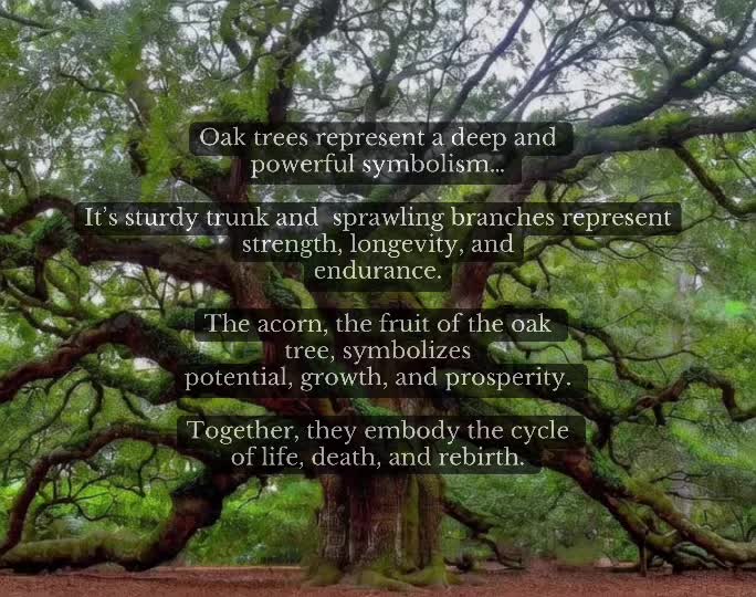 @Jasmin | A Rooted Life