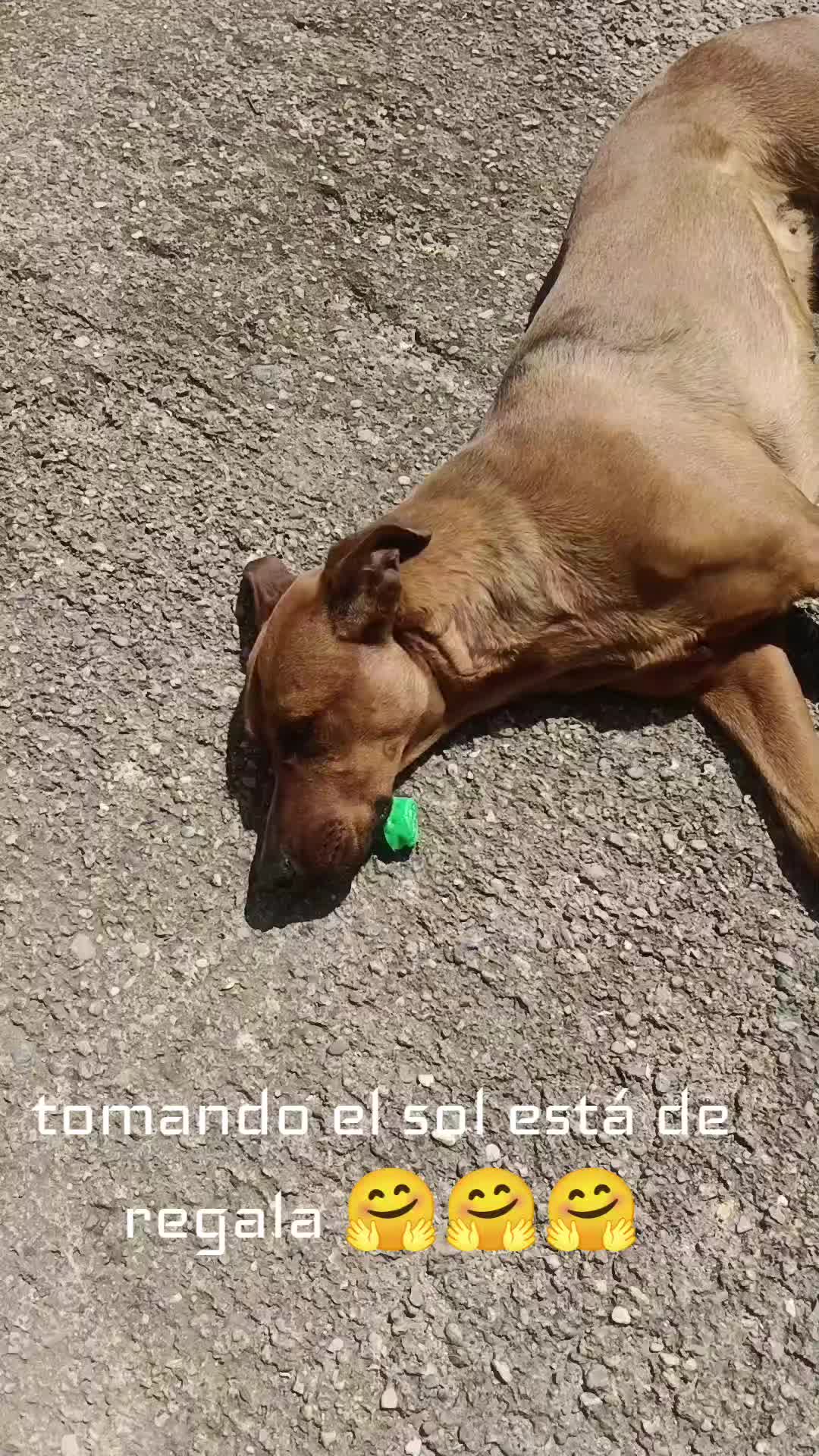 @conxibjimenez🇪🇦
