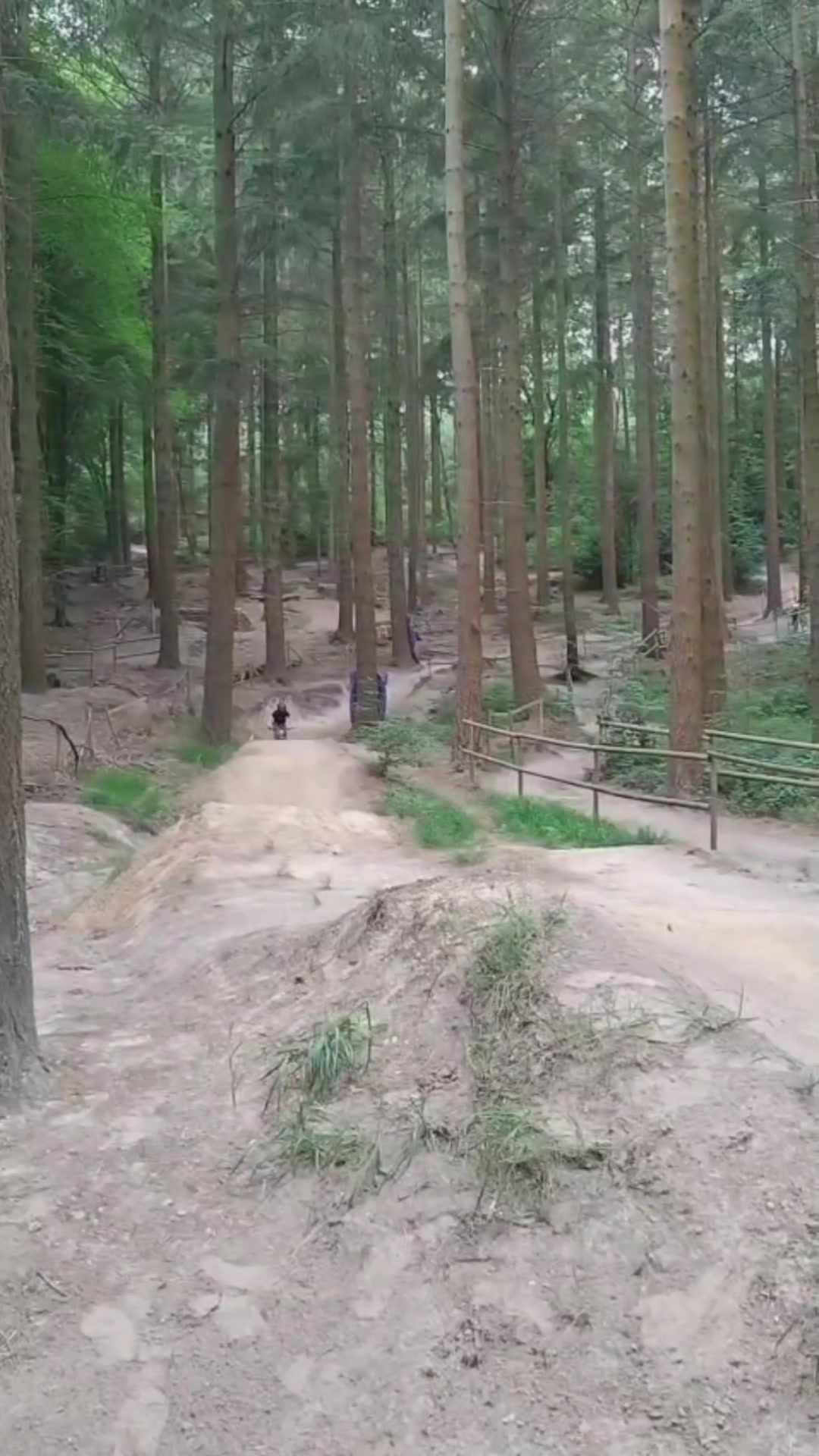 @dexter__mtb