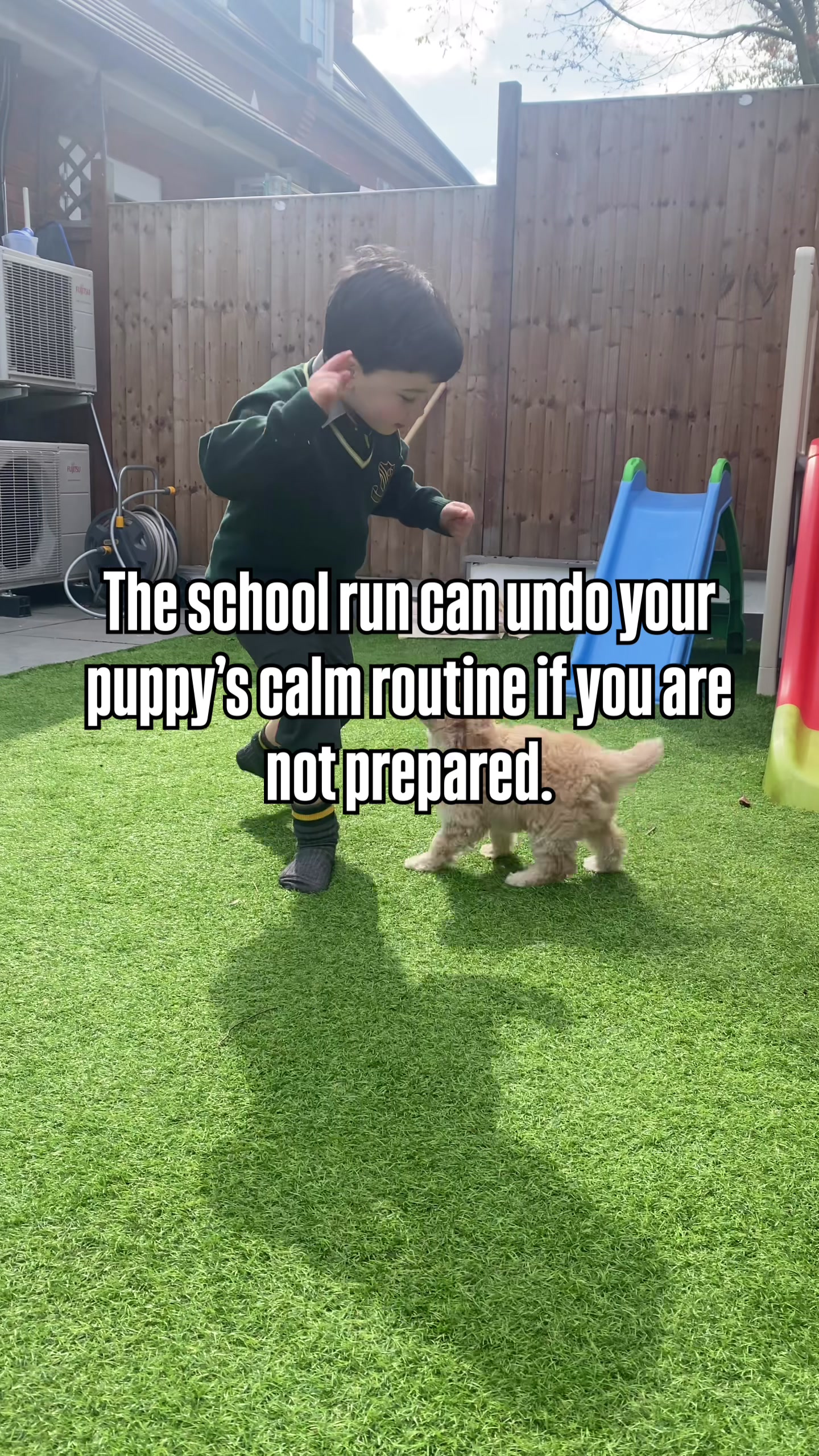 @Sara Professional Dog Trainer